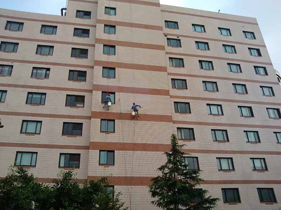 成功案例